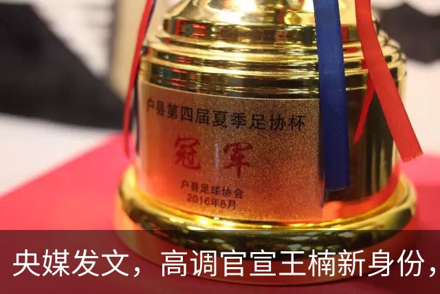 央媒发文，高调官宣王楠新身份，资产查封被带走调查传闻早有真相