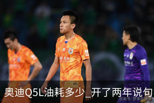 奥迪Q5L油耗多少 开了两年说句实话 家用到底香不香