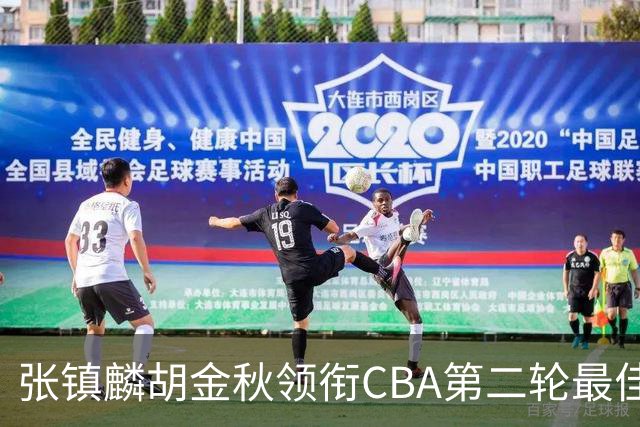 张镇麟胡金秋领衔CBA第二轮最佳阵容 付豪篮板称王