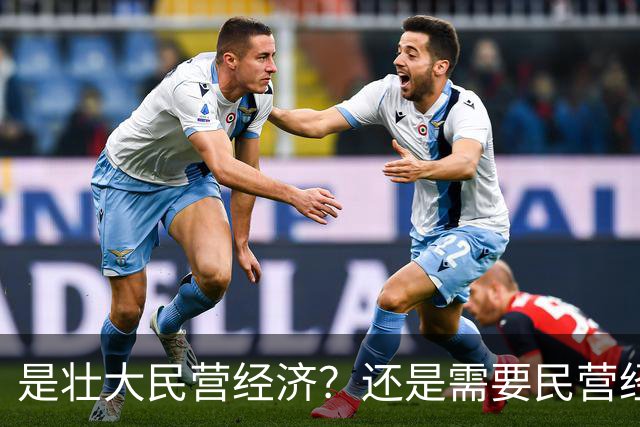 是壮大民营经济？还是需要民营经济？