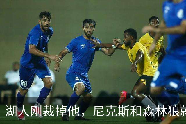 湖人刚裁掉他，尼克斯和森林狼就盯上了