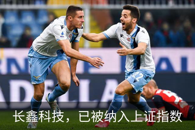 长鑫科技，已被纳入上证指数