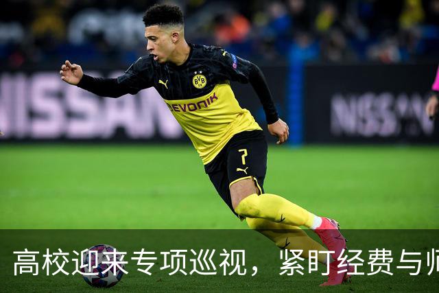 高校迎来专项巡视，紧盯经费与师德，清除少数校园蛀虫